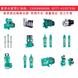 新界水泵上市公司各种型号泵产品应用广泛(图)、固始潜水泵、泵_泵_第一枪