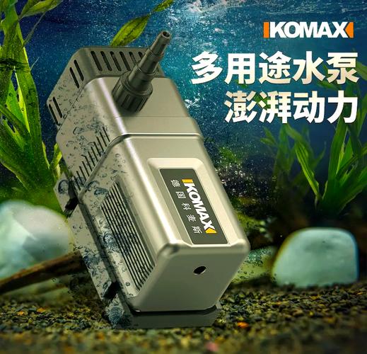 多功能水泵:家居水景新选择